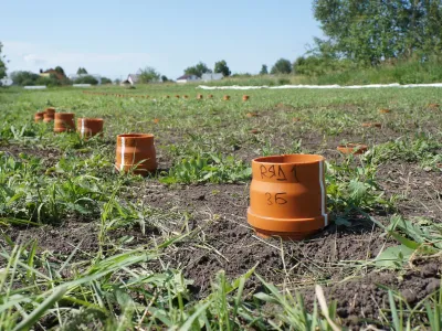 Изучение стойкости и подвижности действующих вещест в почве