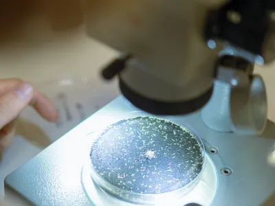 Лабораторые испытания