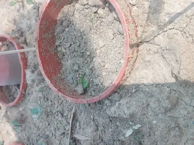 20250605_133909_1773773853458_17ea35d7.webp